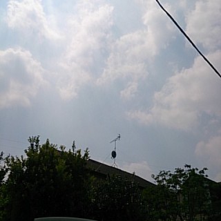 2015-08-02 13.14.32
