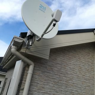 dav
