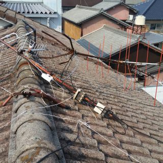 写真 2018-07-27 20 28 22