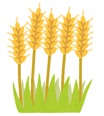 収穫時期の麦のイラスト